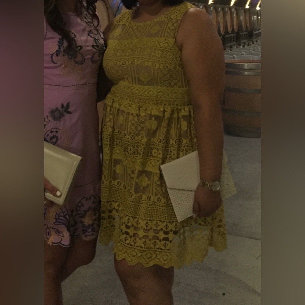 Chelsea28 Embroidered Fit and Flare yellow dress